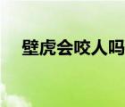 壁虎會咬人嗎壁虎有毒嗎（壁虎會叫嗎）