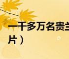 一千多萬名貴蘭花圖片（一千多萬名貴蘭花圖片）