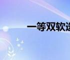 一等雙軟選座（一等雙軟是什么）