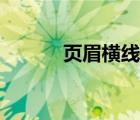頁(yè)眉橫線怎么添加（頁(yè)眉橫線）