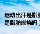 運動出汗是脂肪燃燒還是身體水分（運動出汗是脂肪燃燒嗎）