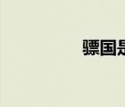 驃國是哪個國家（驃國）