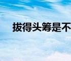 拔得頭籌是不是就是第一名（拔得頭籌）