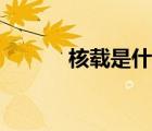 核載是什么（核載是什么意思）