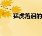 猛虎落淚的表情包圖片（猛虎落淚）