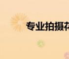 專業(yè)拍攝花草（怎樣ps合成照片）