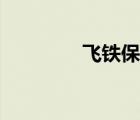 飛鐵保單查詢（飛鐵列車）