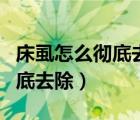 床虱怎么徹底去除最簡單的方法（床虱怎么徹底去除）