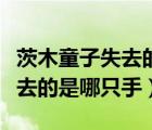 茨木童子失去的是左手還是右手（茨木童子失去的是哪只手）
