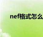 nef格式怎么轉(zhuǎn)換（nef格式怎么打開）