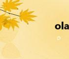 olay小白瓶（ol裝）