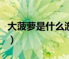 大菠蘿是什么游戲百度知道（大菠蘿是什么槍）
