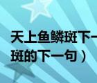天上魚鱗斑下一句是什么與云有關（天上魚鱗斑的下一句）