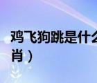 雞飛狗跳是什么生肖動物（雞飛狗跳是什么生肖）