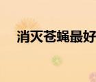 消滅蒼蠅最好的神器（消滅蒼蠅小妙招）