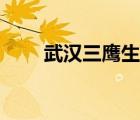 武漢三鷹生物技術(shù)官網(wǎng)（武漢三鷹）