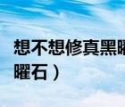 想不想修真黑曜石哪里出的多（想不想修真黑曜石）