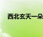 西北玄天一朵云全套（西北玄天一片云）