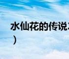 水仙花的傳說20字左右（水仙花的傳說20字）
