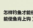 怎樣釣魚才能使魚快速上鉤視頻（怎樣釣魚才能使魚肯上鉤）