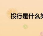 投行是什么類型的行業(yè)（投行是什么）