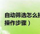 自動篩選怎么操作excel2010（自動篩選怎么操作步驟）