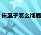 床虱子怎么徹底消滅（床虱子怎么徹底去除）