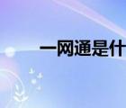 一網(wǎng)通是什么軟件（一網(wǎng)通是什么）