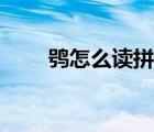 鸮怎么讀拼音是什么字（鸮怎么讀）