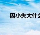 因小失大什么意思（因小失大的事例）