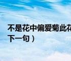 不是花中偏愛菊此花開盡更無花是什么詩（不是花中偏愛菊下一句）