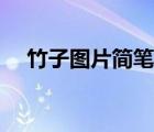 竹子圖片簡(jiǎn)筆畫水彩（竹子圖片簡(jiǎn)筆畫）