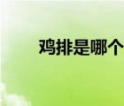 雞排是哪個(gè)部位（雞排是哪個(gè)部位）