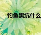 釣魚黑坑什么意思（釣魚黑坑什么意思）