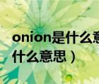 onion是什么意思中文翻譯怎么讀（onion是什么意思）