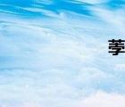 荸薺苗（荸薺苗）
