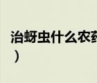 治蚜蟲什么農(nóng)藥藥效長(zhǎng)（治蚜蟲什么農(nóng)藥最好）