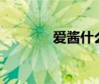 愛醬什么意思（aj什么意思）