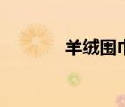 羊絨圍巾（羊絨圍巾怎么洗）
