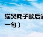 貓哭耗子歇后語的意思（貓哭耗子歇后語的下一句）