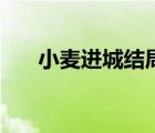 小麥進(jìn)城結(jié)局怎么樣（小麥進(jìn)城結(jié)局）