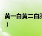 黃一白黃二白膚色對比（黃一白黃二白比色卡）