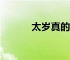 太歲真的有用么（太歲能吃么）