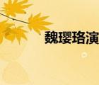 魏瓔珞演員簡介（魏瓔珞演員）