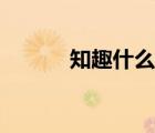 知趣什么意思（知趣什么意思）