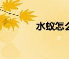 水蟻怎么除（水蟻怎么趕走）