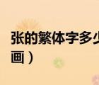 張的繁體字多少畫康熙字典（張的繁體字多少畫）
