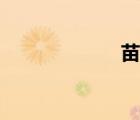 苗傅叛亂（苗傅）
