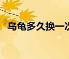 烏龜多久換一次水好（烏龜多久換一次水）