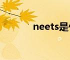 neets是什么網(wǎng)站（neets cc）